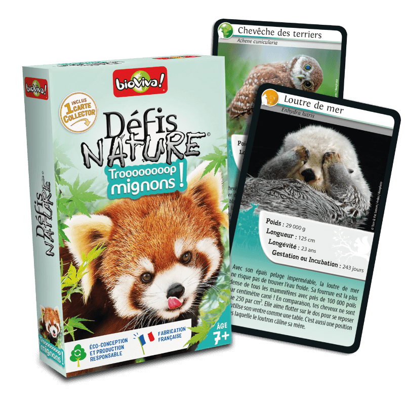 Défis Nature - Trop mignons !