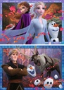 Vers des contrées glacées / Disney La Reine des neiges