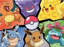 Pikachu, Evoli et compagnie / Pokémon
