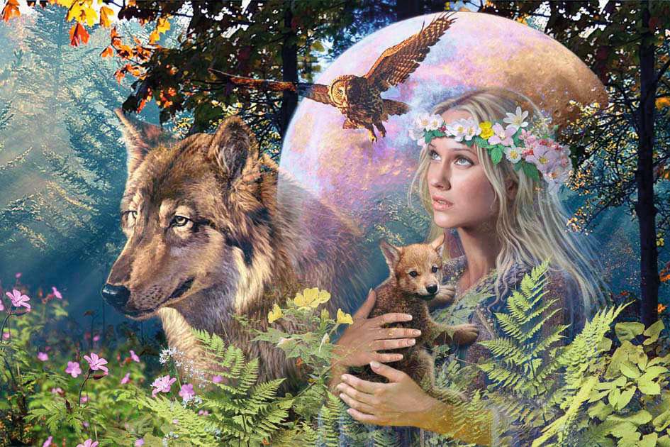 Loups au clair de lune
