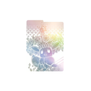 Pokémon EV8.5 - Coffret Dresseur d'Élite - Évolutions Prismatiques