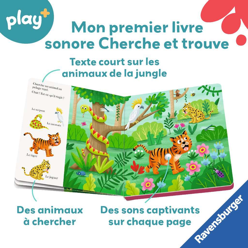 Chut…qui est là ? Les animaux de la jungle