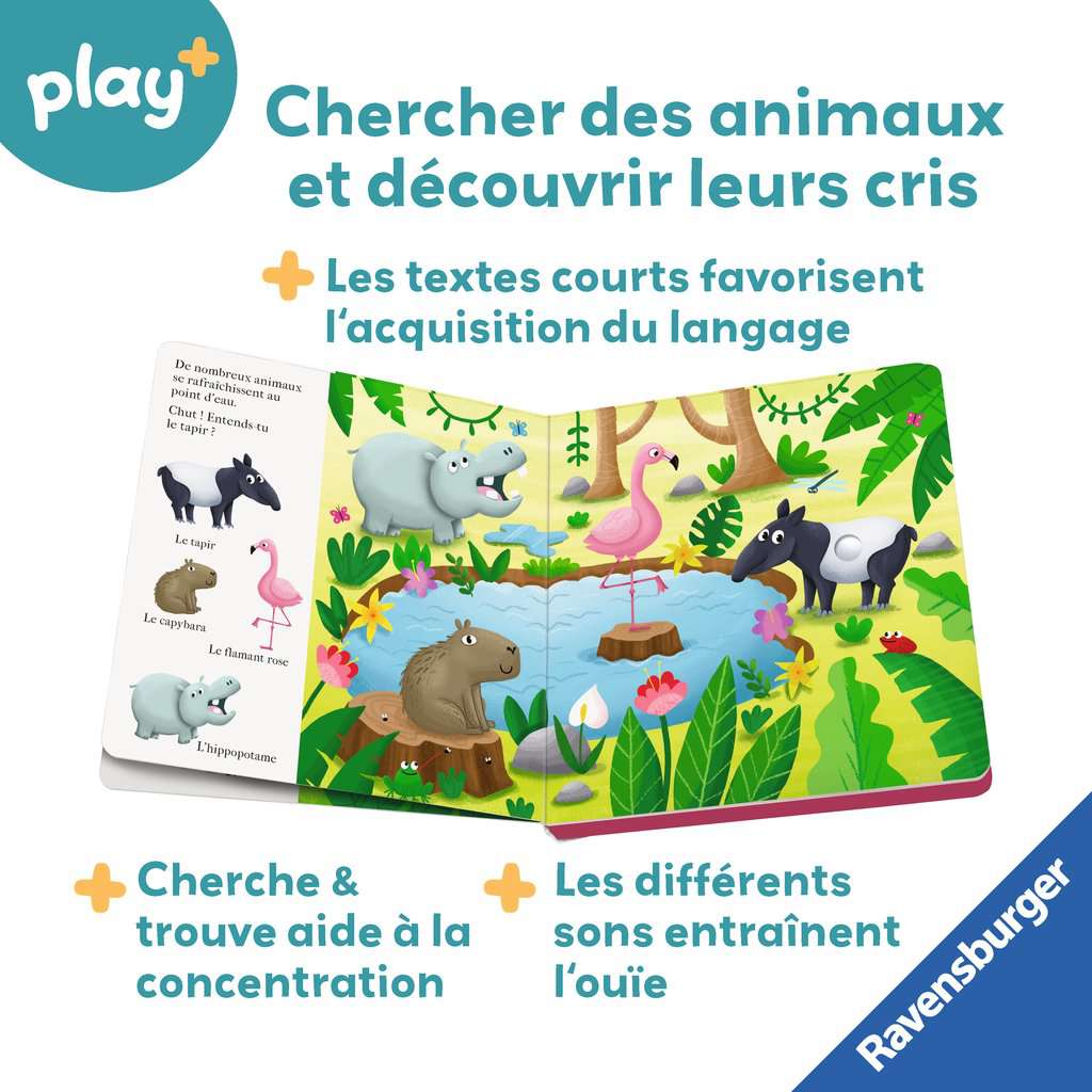 Chut…qui est là ? Les animaux de la jungle
