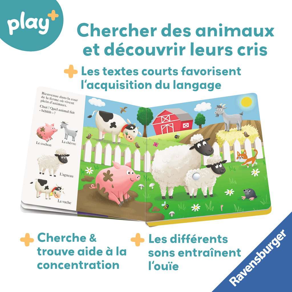 Chut…qui est là ? Les bébés animaux