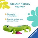 Bâton de pluie gecko