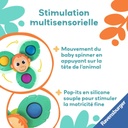 Baby Spinner Orang Outan