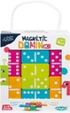 Magnetic Domino