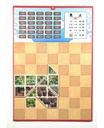 Tangram City