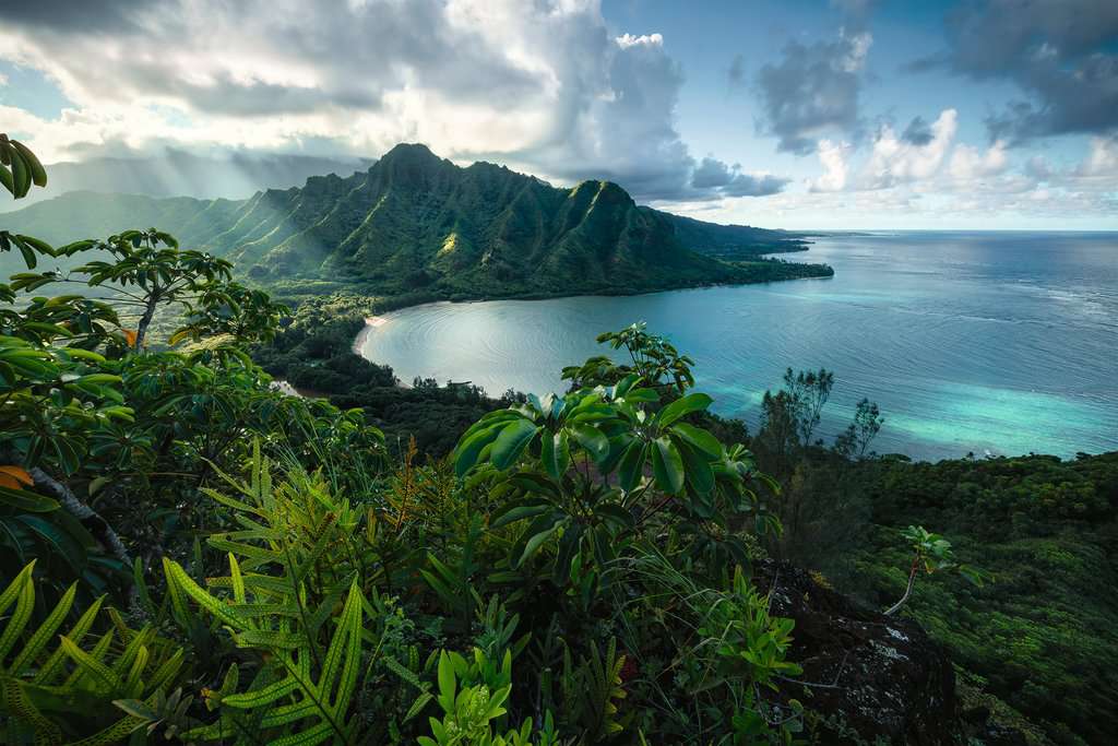 Vue sur Hawaï