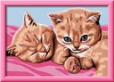 CreArt Kids - 13x18cm - Chatons roux