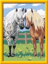 CreArt Kids - 18x24cm - Duo chevaux