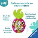 Balle sensorielle: fruit du dragon
