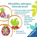 Balle sensorielle: fruit du dragon