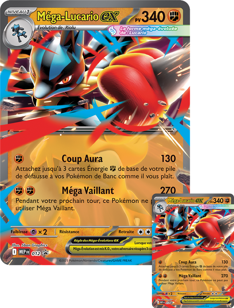 Pokémon : Coffret premium Figurine Pokémon NOV 25