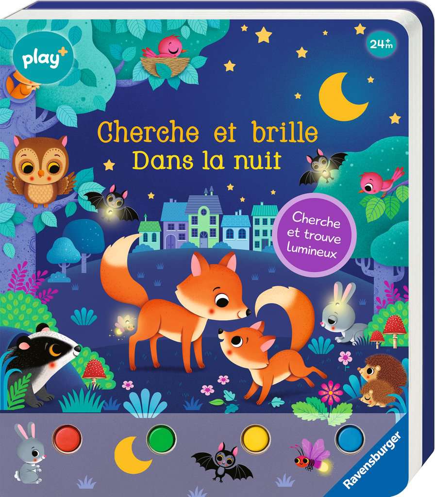 Cherche et Brille : Dans la nuit