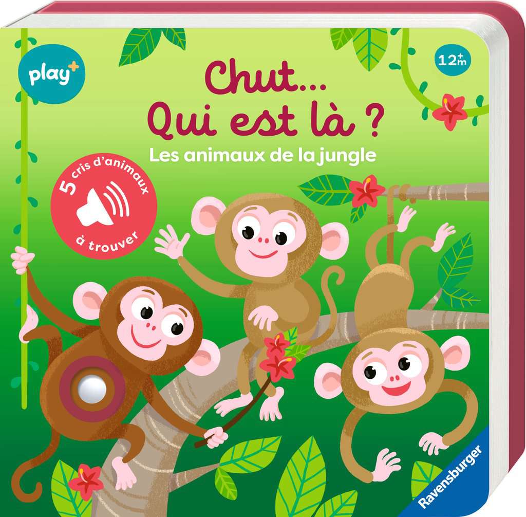 Chut…qui est là ? Les animaux de la jungle