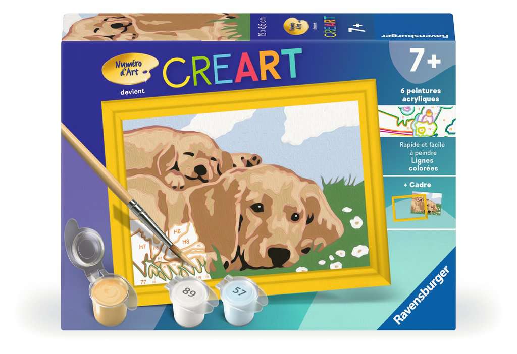 [00.025.996] Creart Kids - Labradors