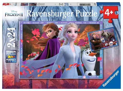 [00.005.010] Vers des contrées glacées / Disney La Reine des neiges