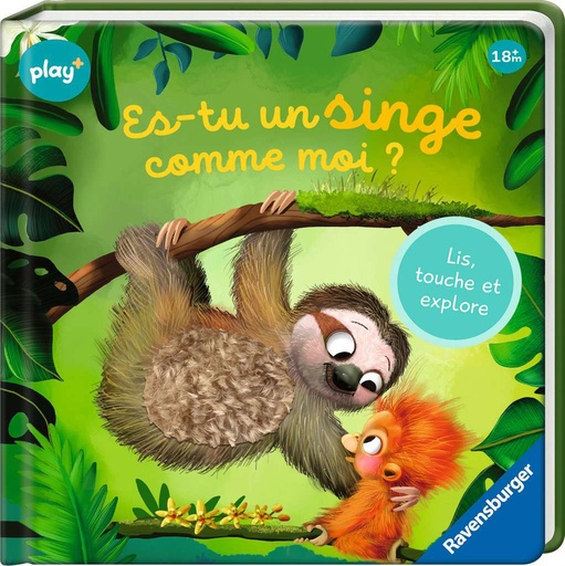 [13.099.028] Es-tu un singe comme moi?